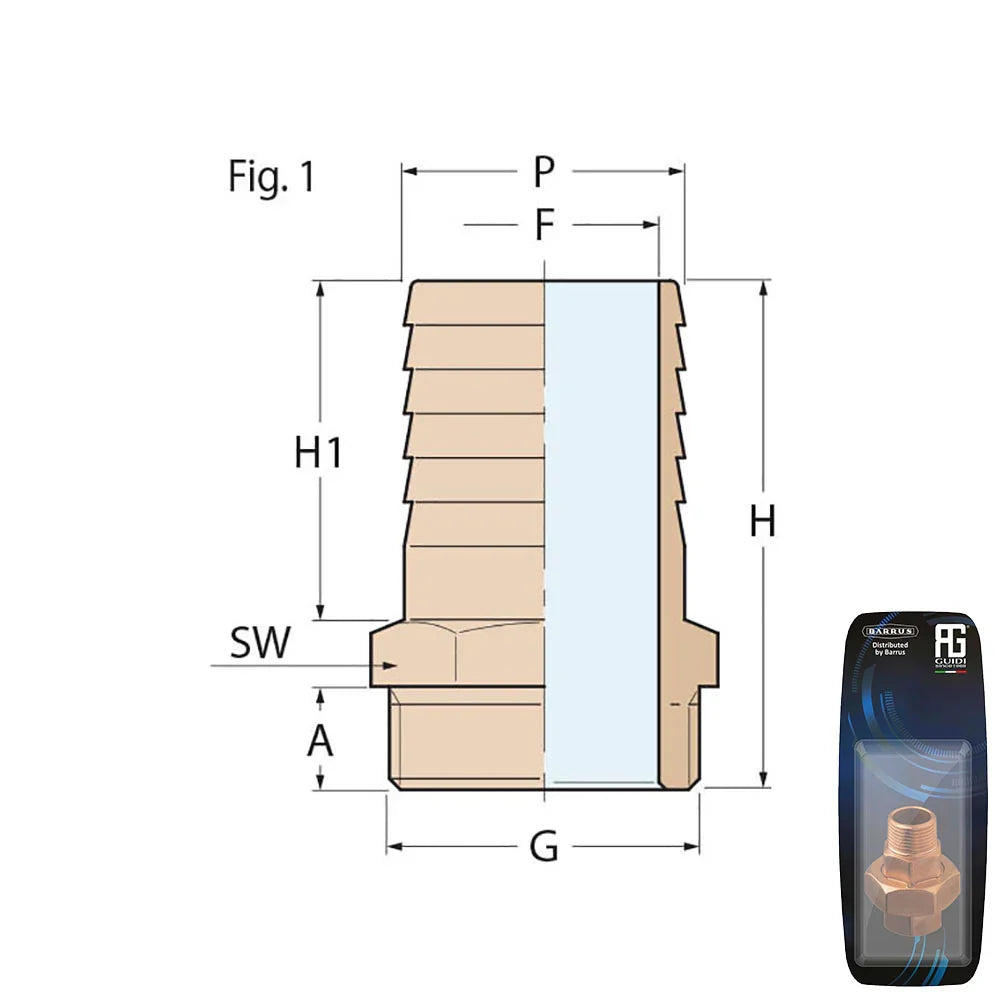 Guidi Bronze Hose Connector M 1/2 in x 19 mm - Retail Pack | 4Boats