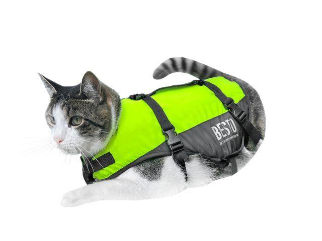 Cat Buoyancy Aid - Hi‑Viz Cat Life Jacket | 4Boats