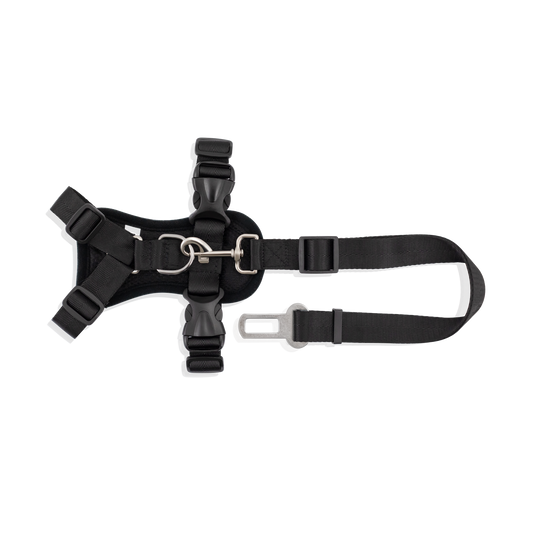 Strap Harness