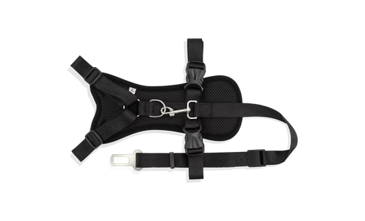 Car Strap Dog Harness - Large