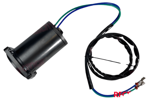 POWER TRIM Motor 5006319 for Evinrude E-TEC | 4Boats